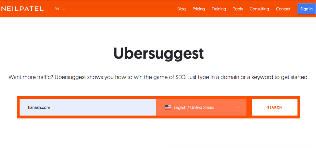 Entering domain name into Ubersuggest search field for blogging for photographers